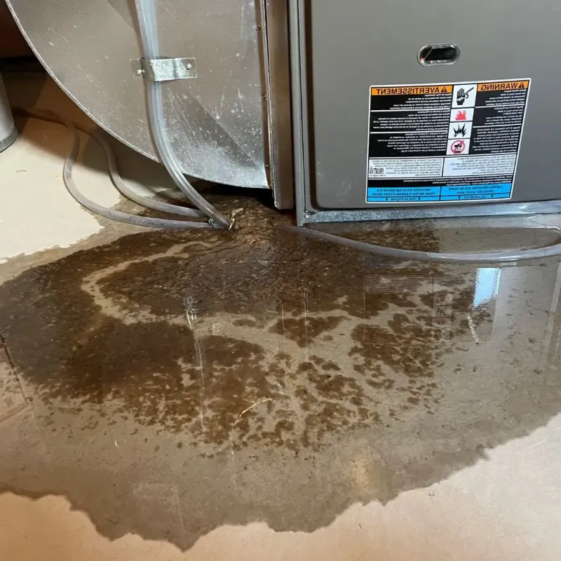 Pipe Burst and Leak Restoration in Schuylkill County, PA