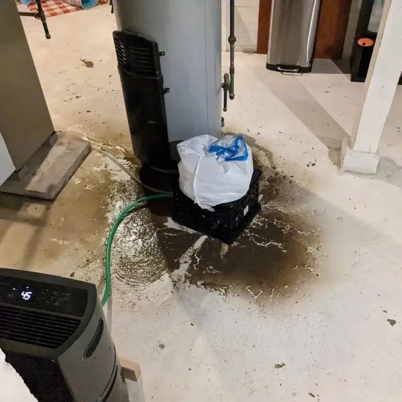 Sewage Backup Cleanup Service in Schuylkill County, PA
